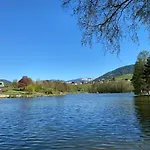 فيرينهاوس غاستيغ * ماريا ألم ام شتاينر